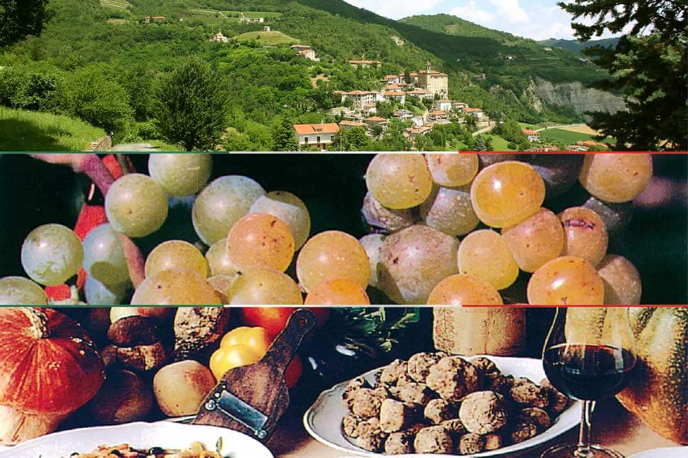 Info - ldalla Langa Astigiana a casa tua JeanJacqueDiva JJD1959